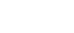 Logo Dijkstra Fysiotherapie wit-transparant